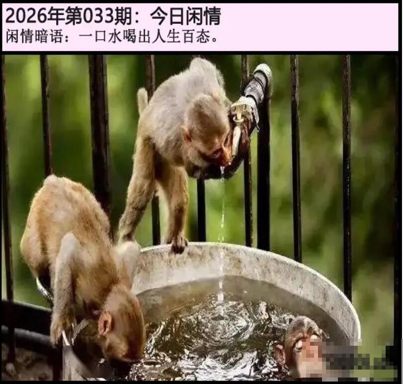 033期另版今日闲情[图]